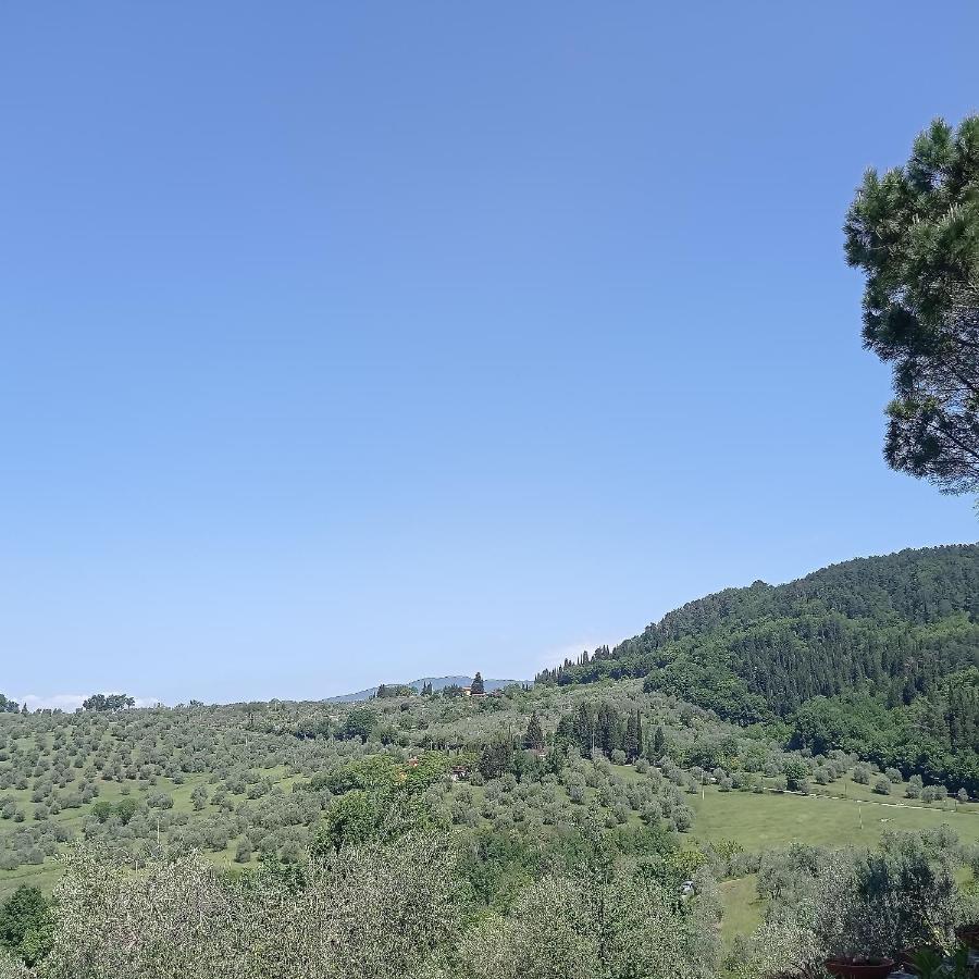 La Guelfa 64 Apartment Pontassieve Bagian luar foto